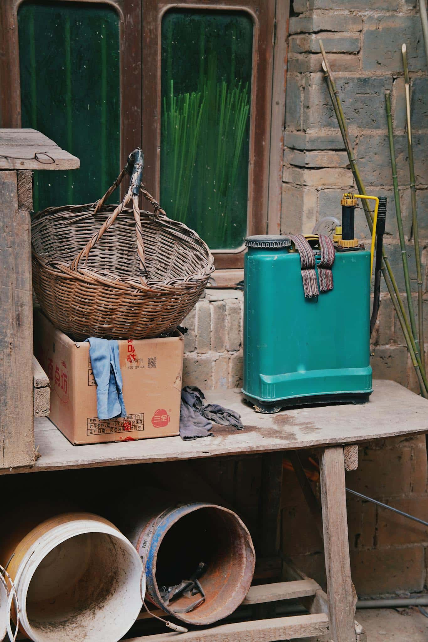 Idées de design de jardin pour débutantes : conseils pratiques et astuces faciles